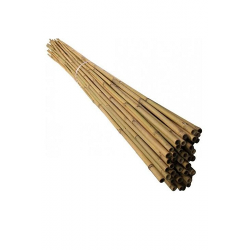 Bambu Bitki Destek Çubuğu 150 cm-10 adet