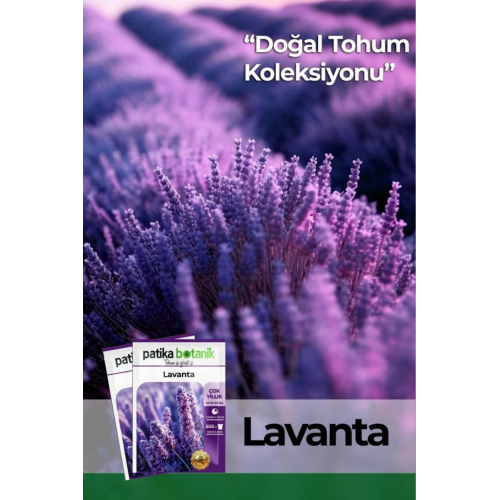 100 Adet Lavanta (LAVANDULA) Çiçek Tohumu