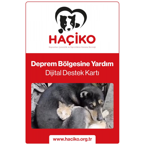 Deprem Destek Kartı