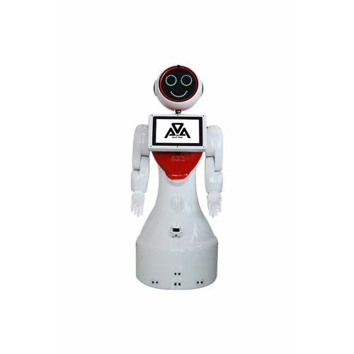 Mini Ada Insansı Robot